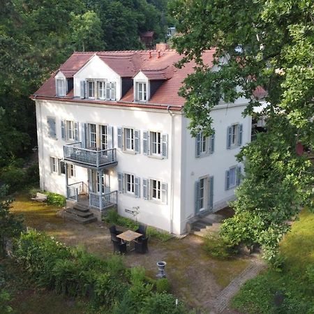 Villa Im Park Wachwitzgrund Dresden Exterior foto