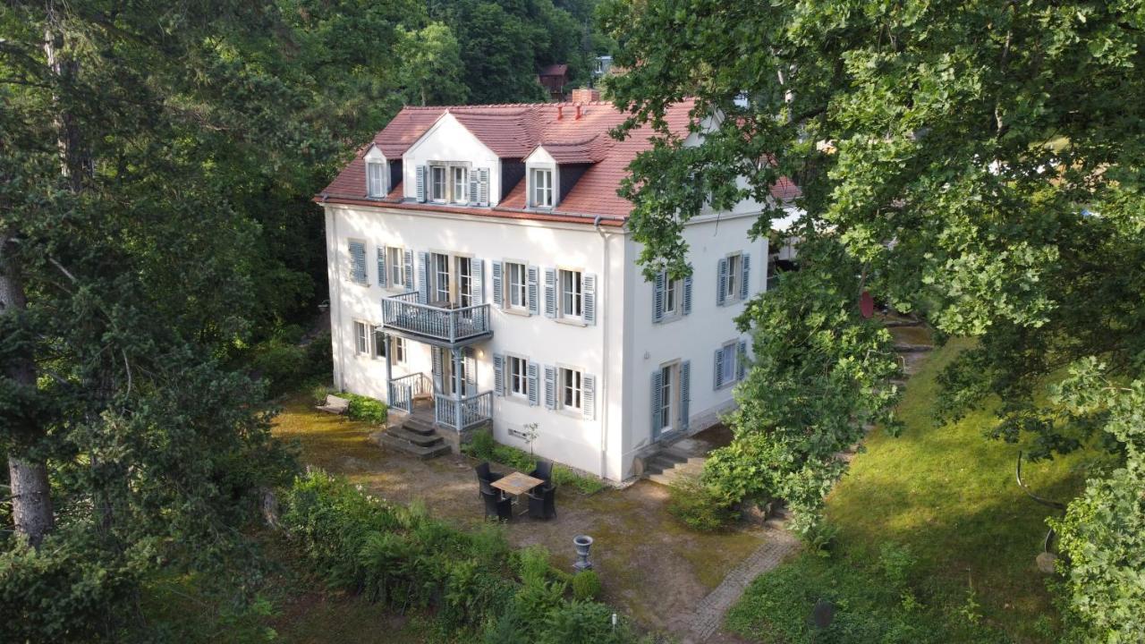 Villa Im Park Wachwitzgrund Dresden Exterior foto