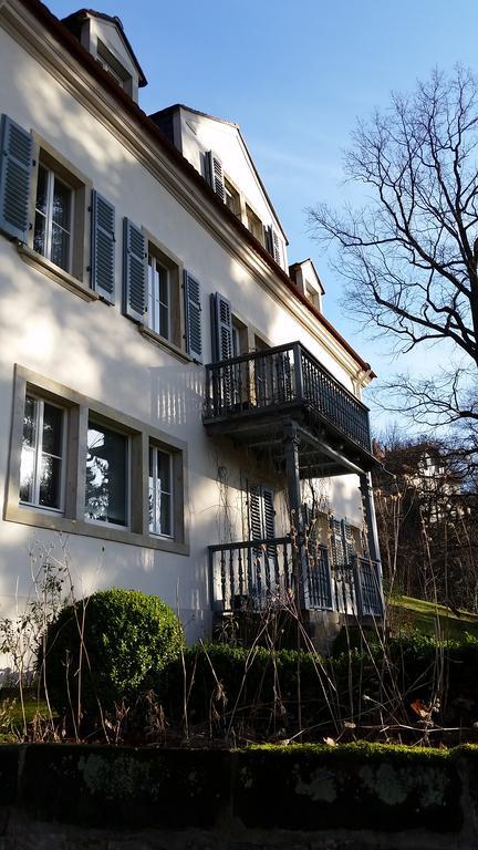 Villa Im Park Wachwitzgrund Dresden Exterior foto